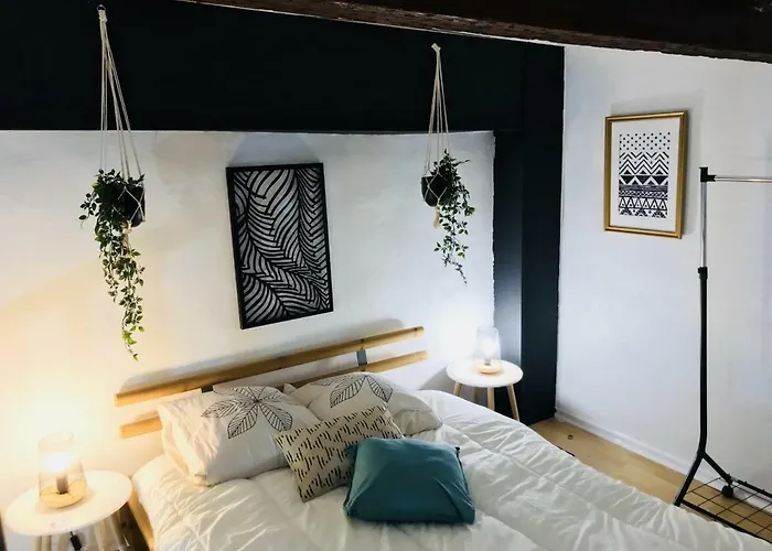 Superbe! Loft T3 -Ctre Historic- Prox. Place Comedie