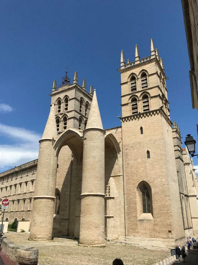 Apartment Superbe! Loft T3 -ctre Historic- Prox. Place Comedie Montpellier