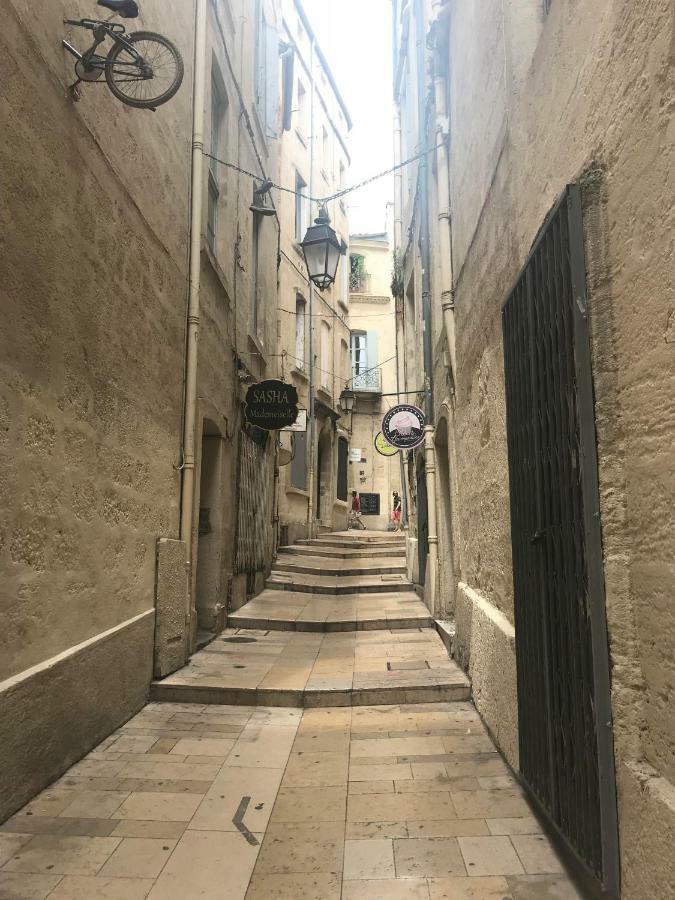 Superbe! Loft T3 -ctre Historic- Prox. Place Comedie Appartement
