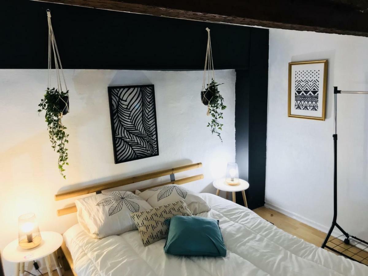 Superbe! Loft T3 -ctre Historic- Prox. Place Comedie Appartement *